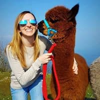 65183123 456802681566195 6155846921639428096 n 1.jpg nc cat107 nc ohcHgsZg oeFk4AX9SDotd nc htscontent lhr3 1 1