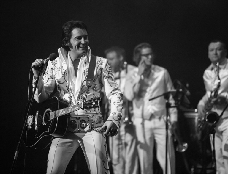 elvis2 768x585