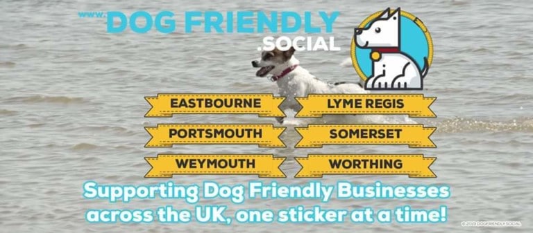 81929057 1858398144303743 1089729745270079488 n 1 768x337