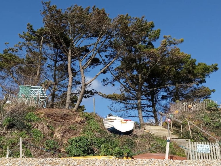 Photo 02 03 2020 07 58 09 768x575