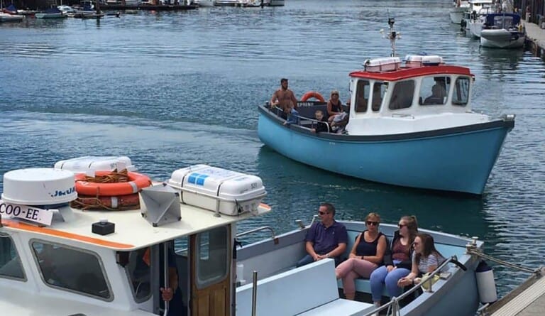 sea cruise 3 768x445