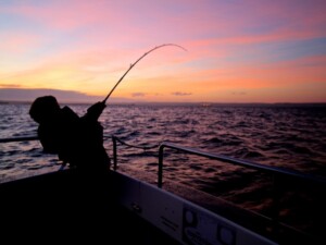 snapper fishing charters weymouth evening fishing trip weymouth 1 300x225
