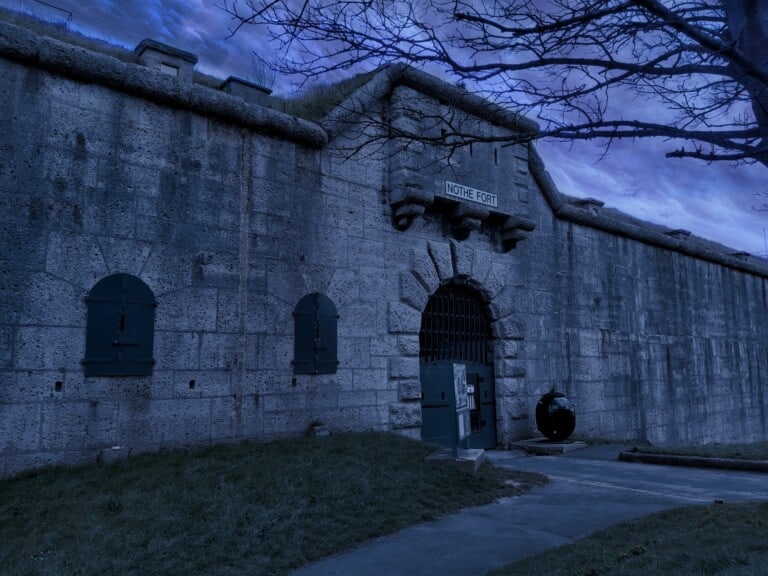 120363613 107053301162119 9179151146154577017 o 1 768x576