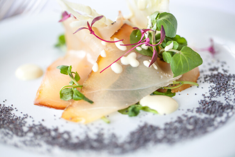 IMG 6968 copy 768x512