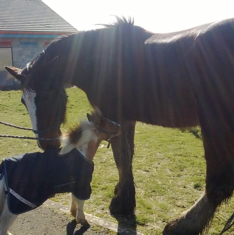 141764248 101682281938557 94743792461932793 n 1 768x769