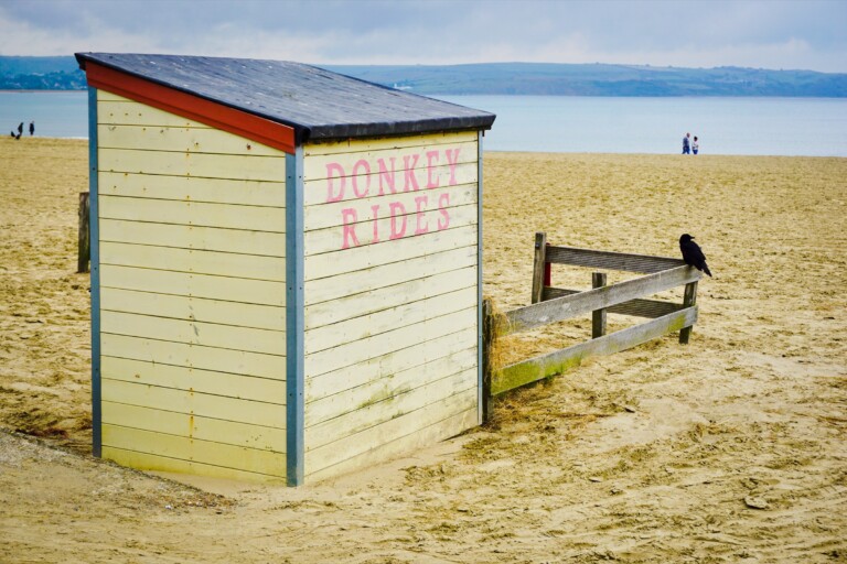 Donkey rides 768x512