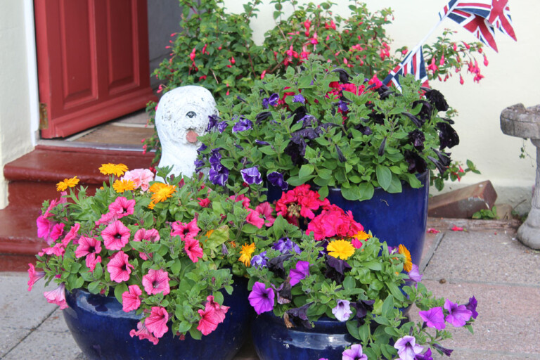 Redcliff Guest House Weymouth2017 06 30 08.58.27 768x512