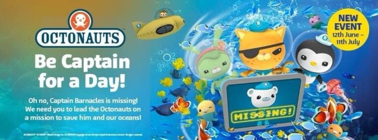 octonauts 768x284