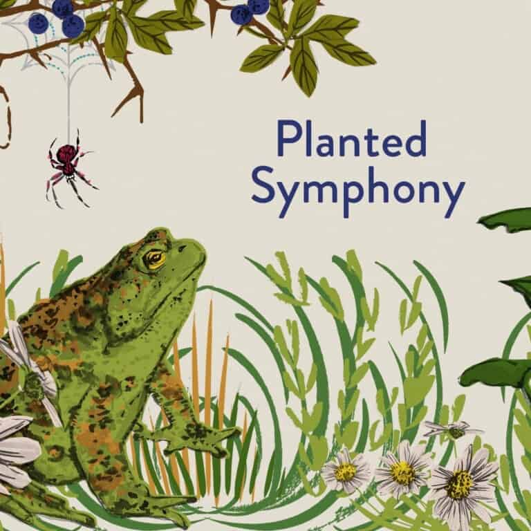 487CD335 9E6D 40B5 B5C8 FE700DDCF3F1 768x768