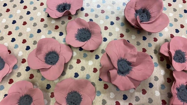 6225BCF7 7909 4674 BEBD BEEAA50FA2DB 768x432