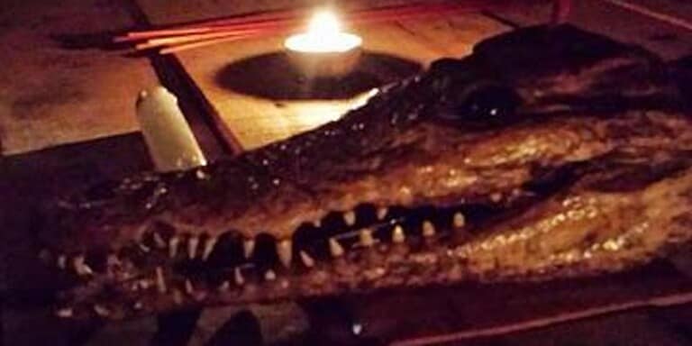 haunted harbour 1 768x384