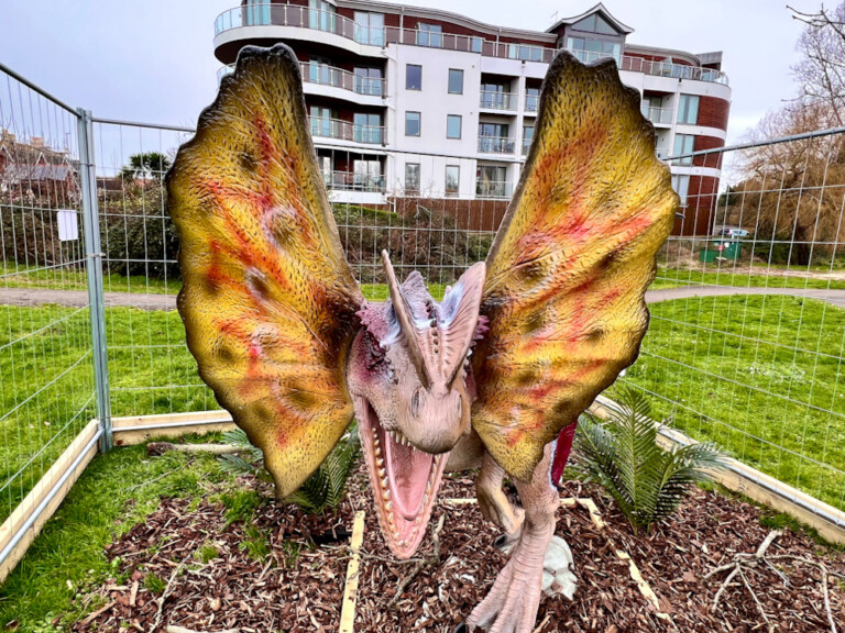 A6980445 99F1 42A0 9348 93031A05E02D 768x576