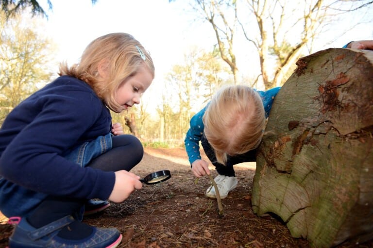 49DA05A0 7F58 4414 99AF 87B7447030B7 768x512