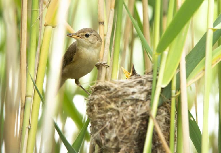 ED40DA67 659B 4564 AD8B 4C110C924DF6 768x533