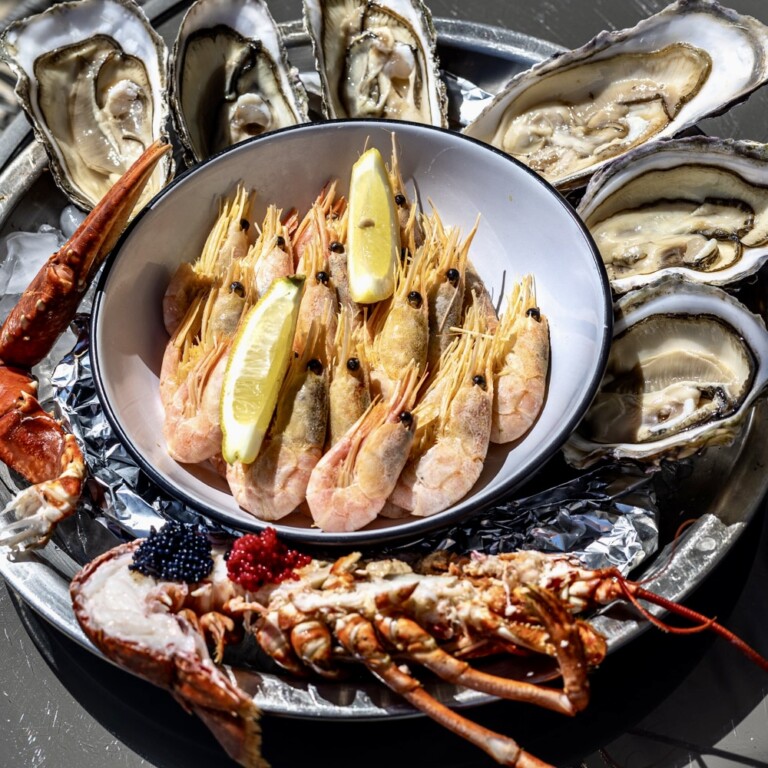 28DCFAC0 E0D5 4CF9 BE6A C6C41EFA164D 768x768