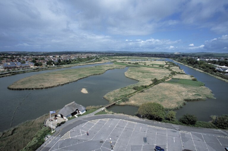 Andy Hay rspb images.com 2 768x511