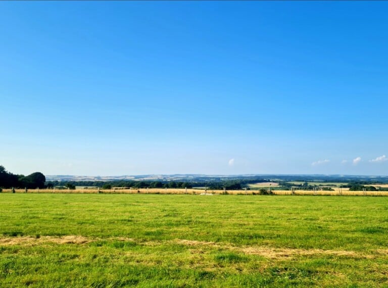 Screenshot 20220609 232740 Gallery 1 768x570