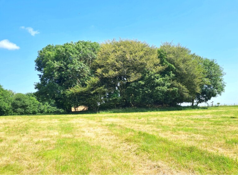 Screenshot 20220609 232851 Gallery 1 768x567