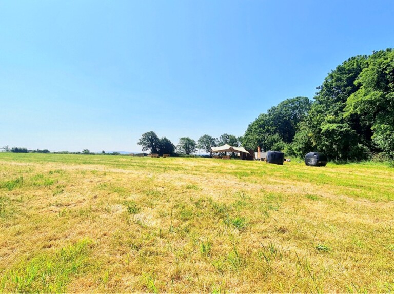 Screenshot 20220609 232858 Gallery 1 768x573