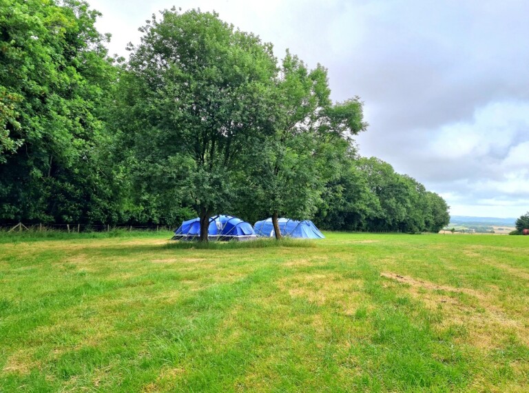 Screenshot 20220609 232928 Gallery 1 768x570