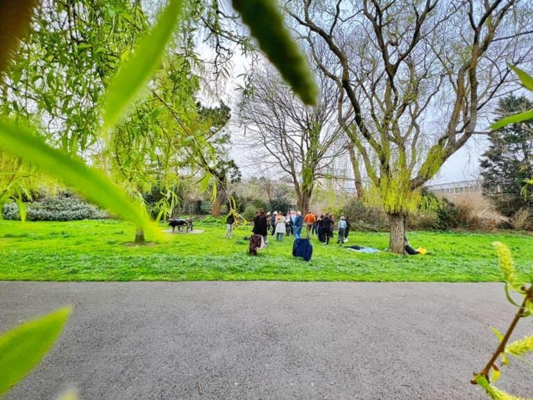 dance in the park 768x576