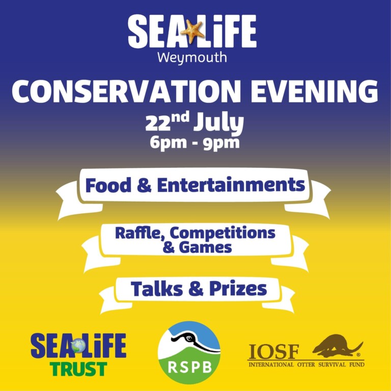 598D6C24 3629 45D7 A48B 363CD2B2744F 768x768