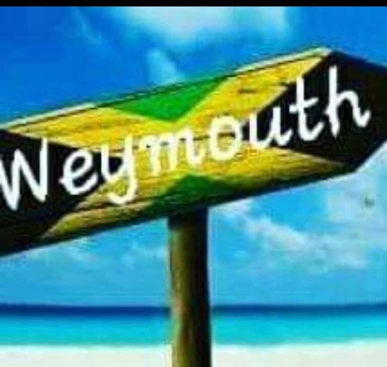 9234BA7F 19FD 4895 A799 106AE5C8936D 768x728