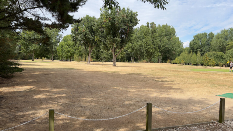 B9F7BB14 2213 48B8 9143 55814D31C540 768x432