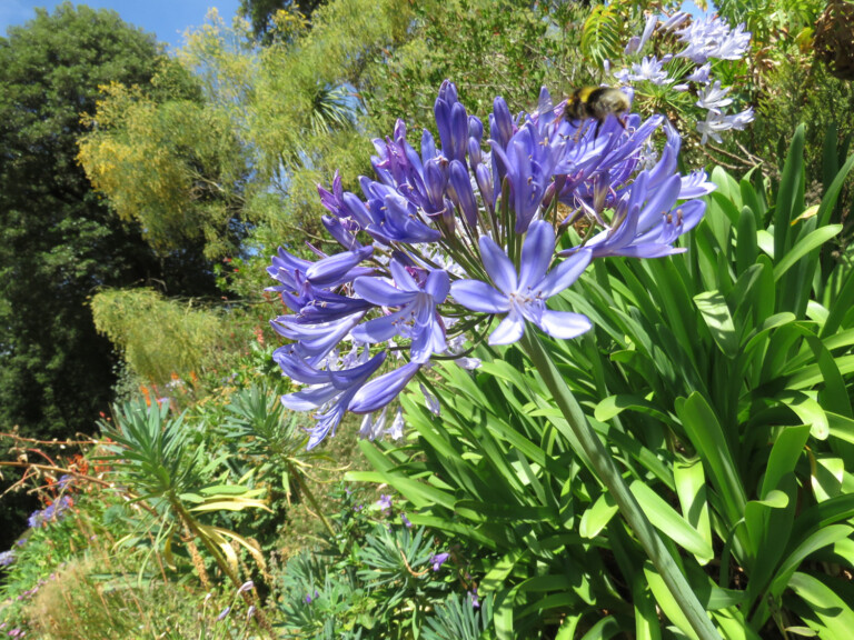 20220801132151 768x576