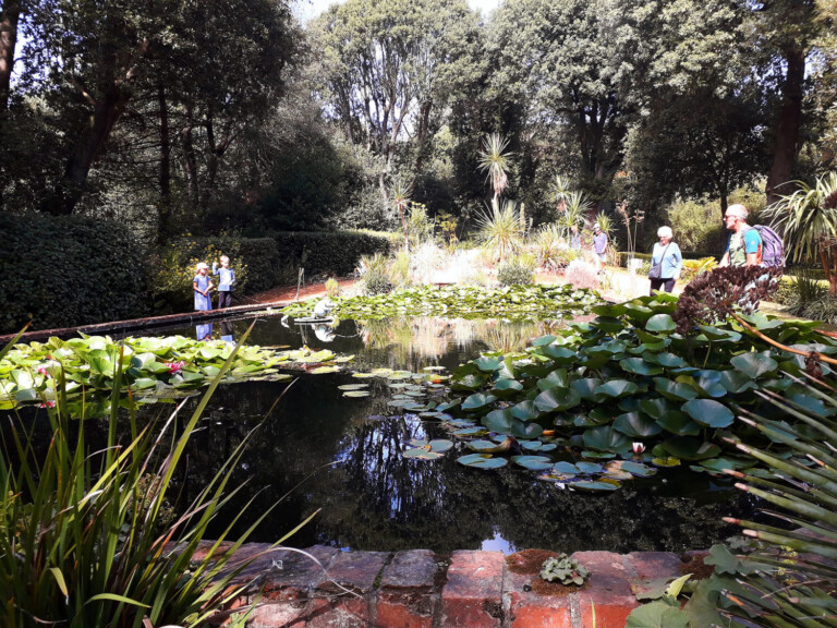 300767114 1191838751392040 6767710311233745622 n 768x576