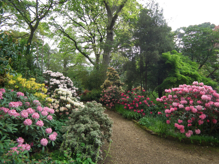 Early Spring 768x576