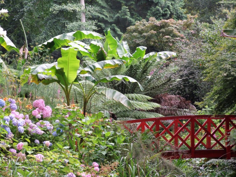 SG10 768x576