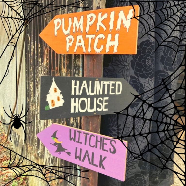 pumkins 22 768x768
