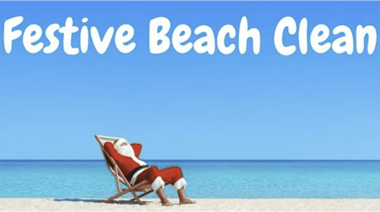 Xmas Beach Clean 768x428