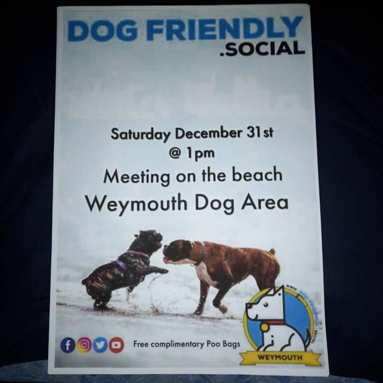 16715522638024710718919377564948 768x768