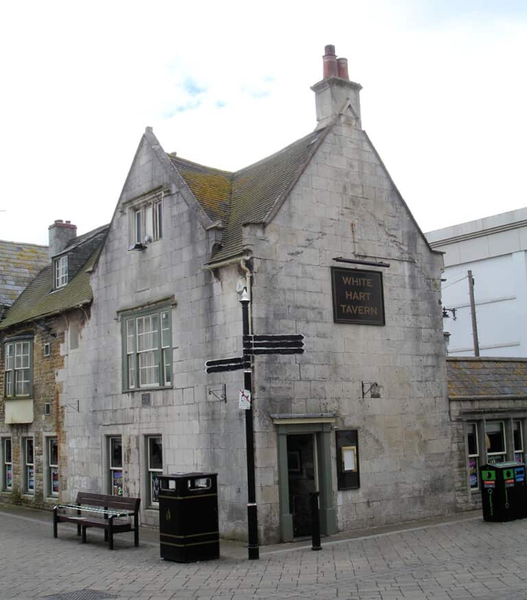 Hardye DSC08262 768x875