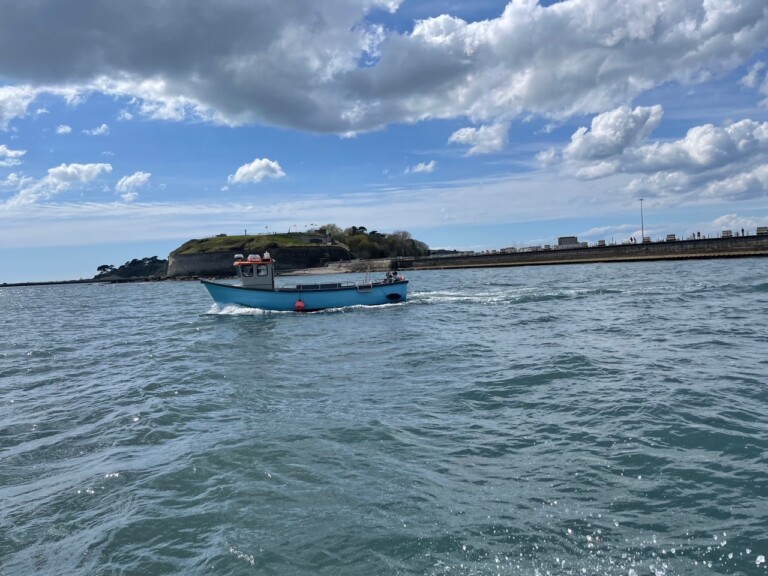 FE14817F E6BA 4F02 800D 420B1A435BEA 768x576