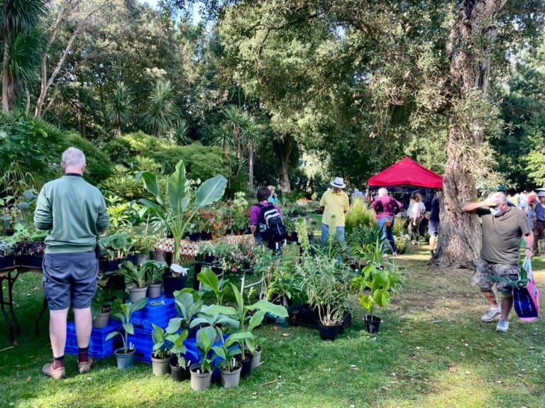 287098662 10160088120118739 5141446749831276754 n 768x575