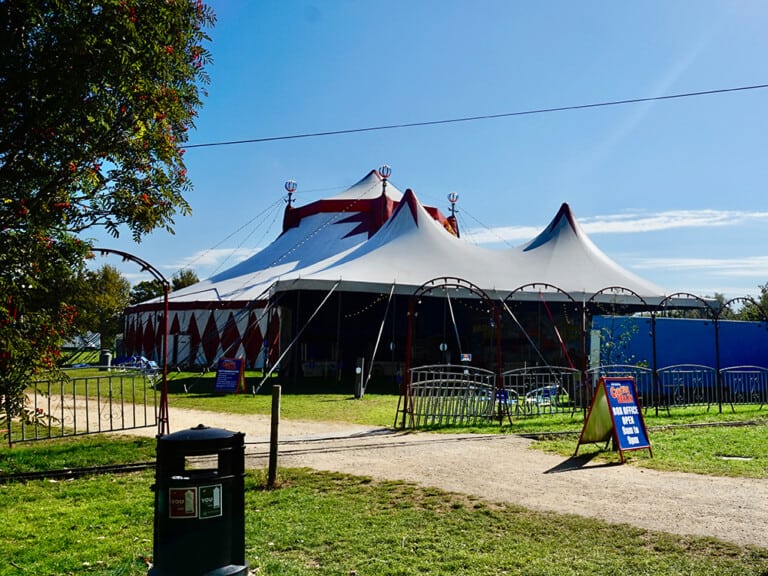 Circus Weymouth 2023 768x576