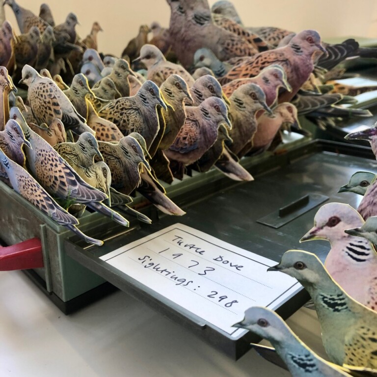 new image Aug 768x768