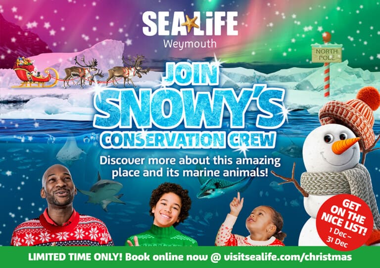 SEALIFE CHRISTMAS 768x543