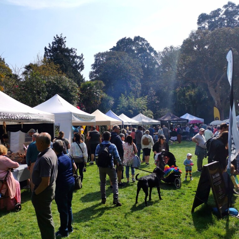 339076857 2748954645236120 2132915824663134497 n 1 768x768