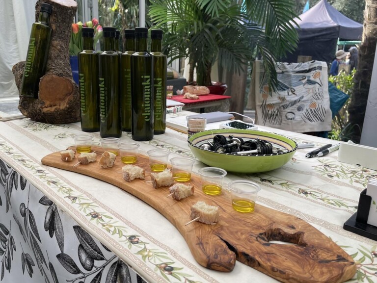 340219623 259448069758422 9193740996396297155 n 1 768x577