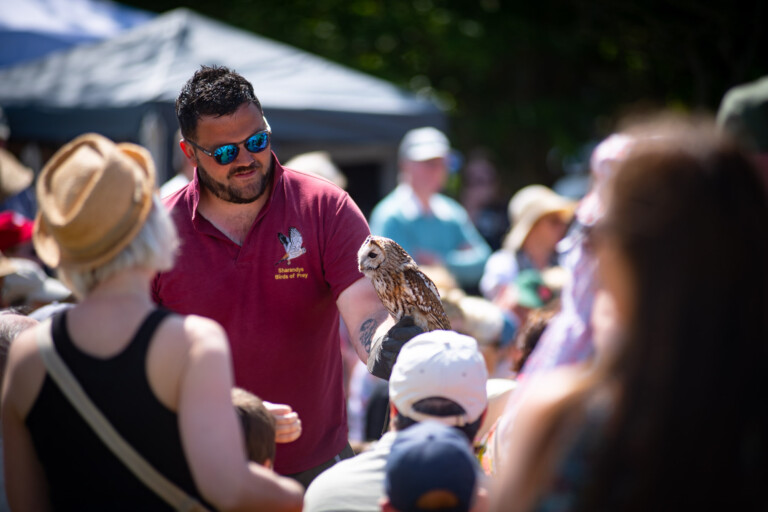 350335597 1324333158476254 8024554825734508608 n 768x512