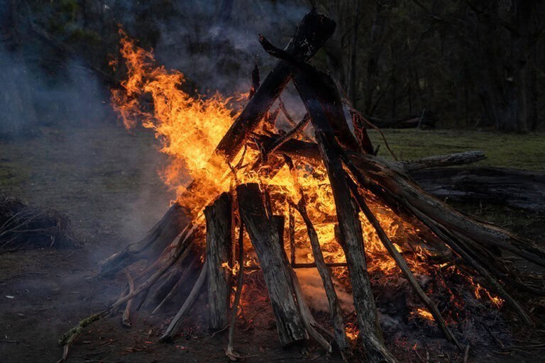 bonfire burning trees at night large orange flame 2023 11 27 04 52 31 utc 768x512