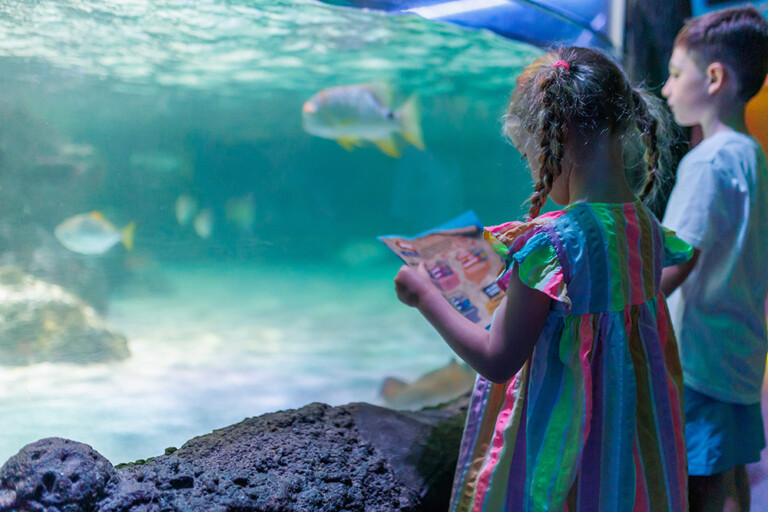 sea life NMP 8255 1 768x512