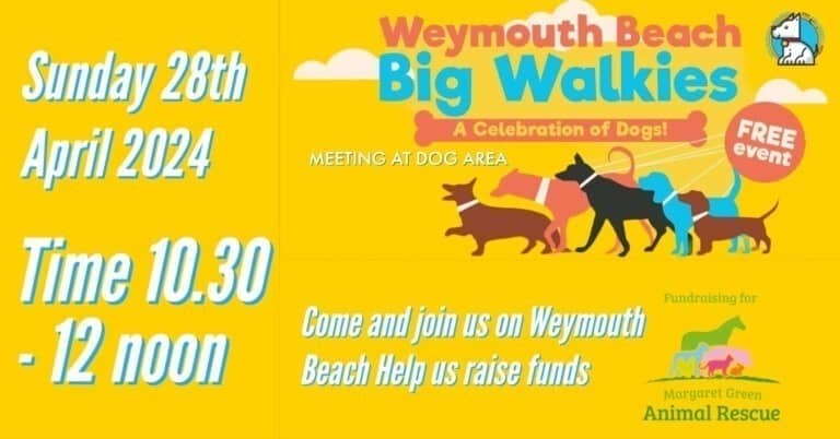 weymouth beach big walkies 768x402