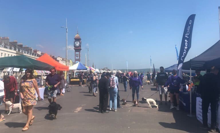 weymouth community expo 768x465