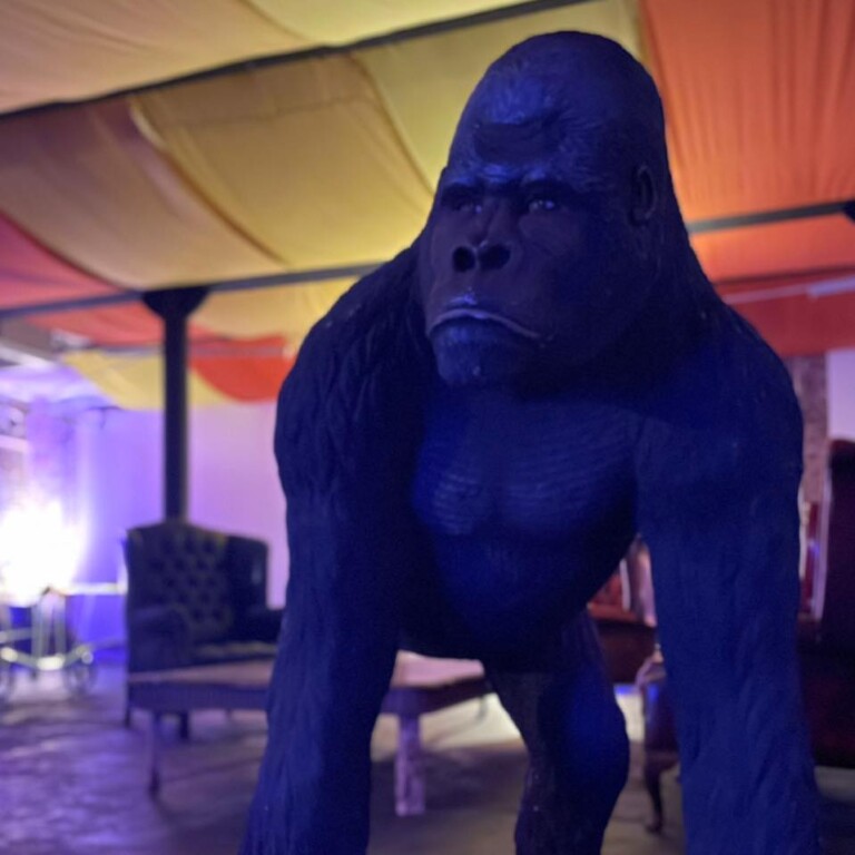 278572438 138607558717387 3371302836639902858 n 3 768x768