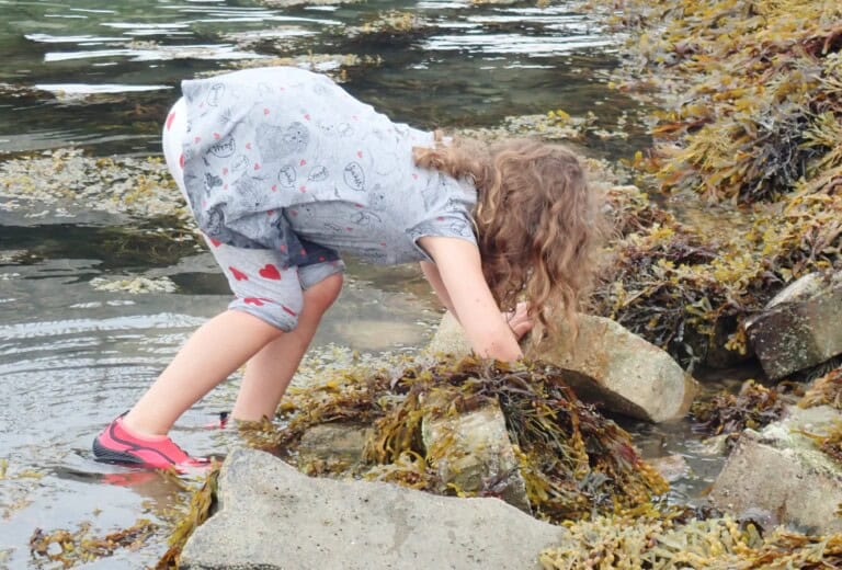 Seashore Safari Jess Kenneally ok to use permission obtained 768x520